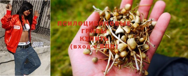 прущая мука Богородск